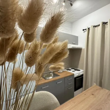 Apartment Dm *